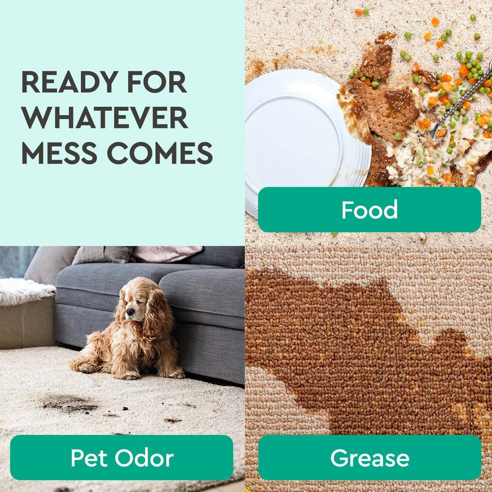 Natural Instant Carpet and Furniture Spot Remover