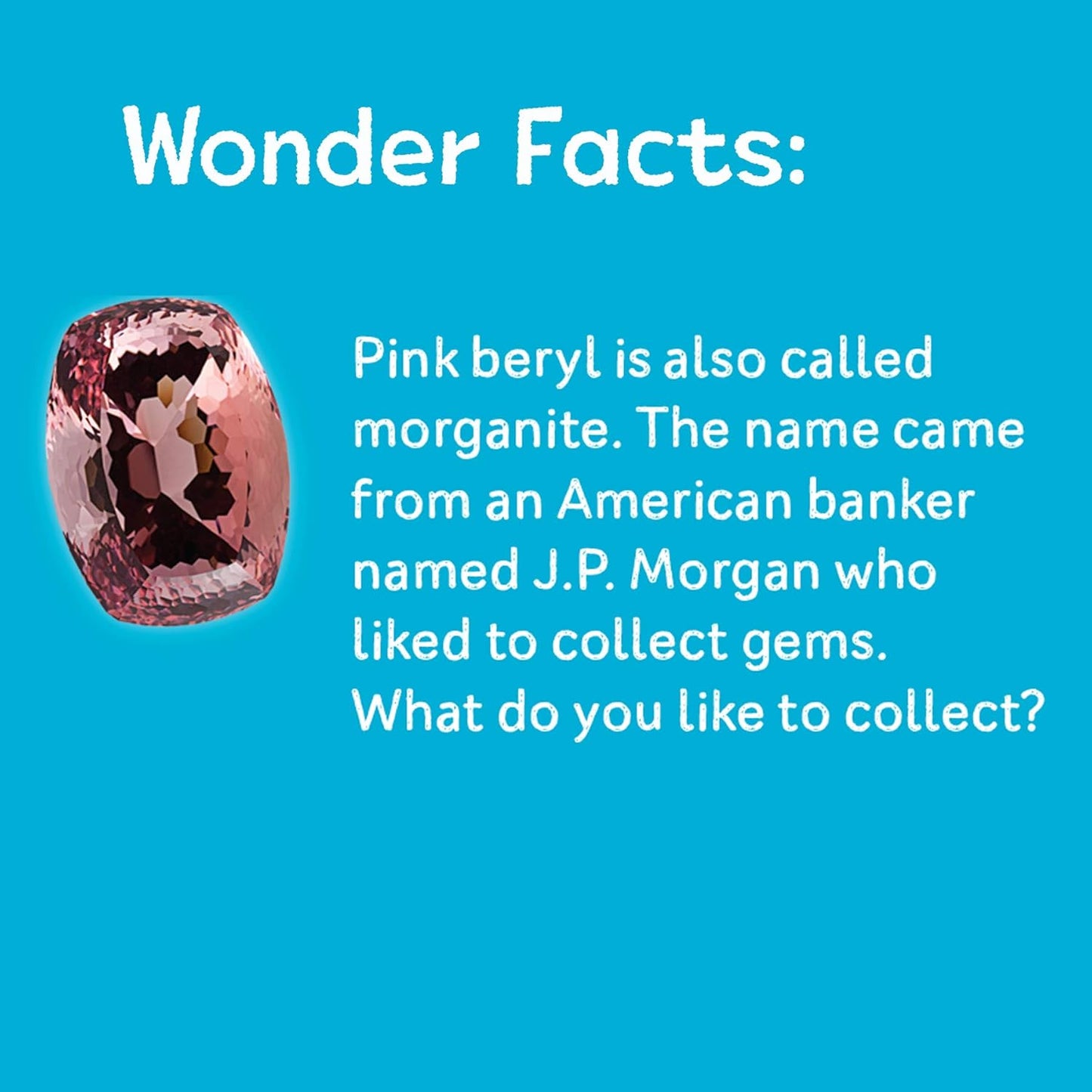 100 Curious Things to Count: Counting at the Smithsonian by Scarlett Wing