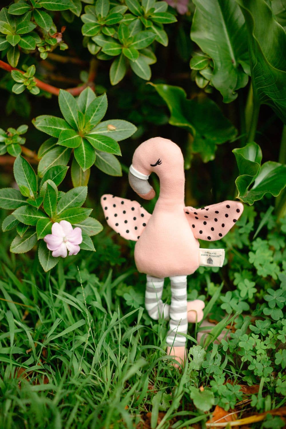Franny Flamingo- Organic Cotton Plush