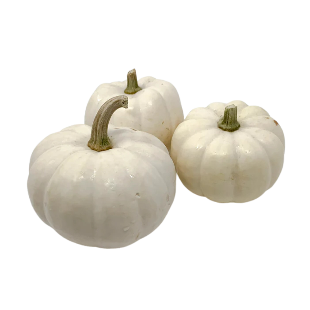 Mini White Pumpkin Kitchen Toy