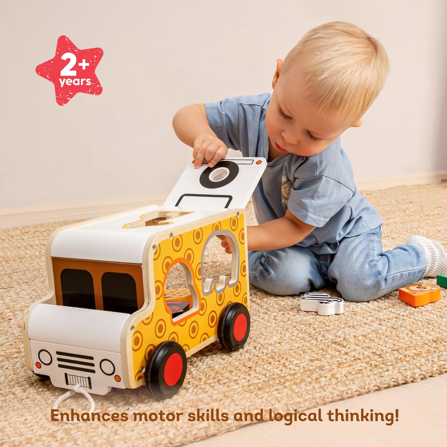 Sorting Truck- Safari Journey