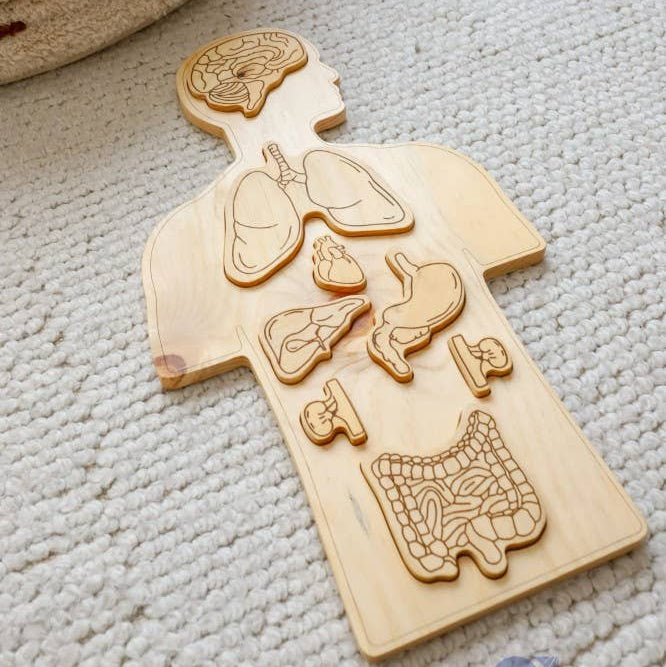 Wooden Anatomy Puzzle