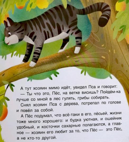 Кот и Пёс