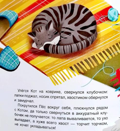 Кот и Пёс