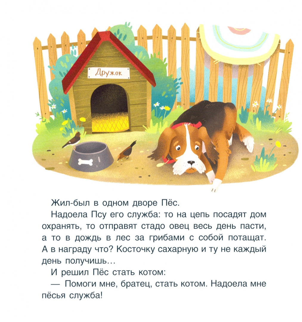 Кот и Пёс