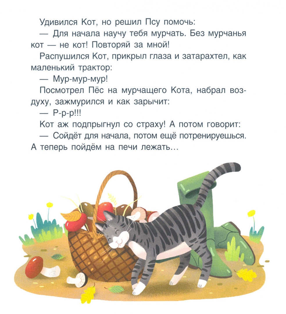 Кот и Пёс