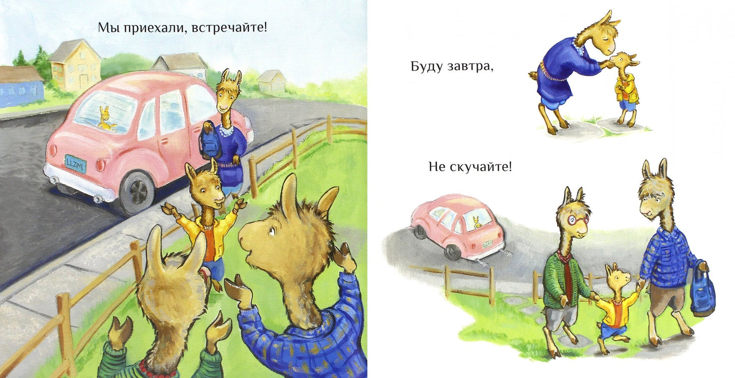 Лама в гостях у бабушки с дедушкой: Анна Дьюдни