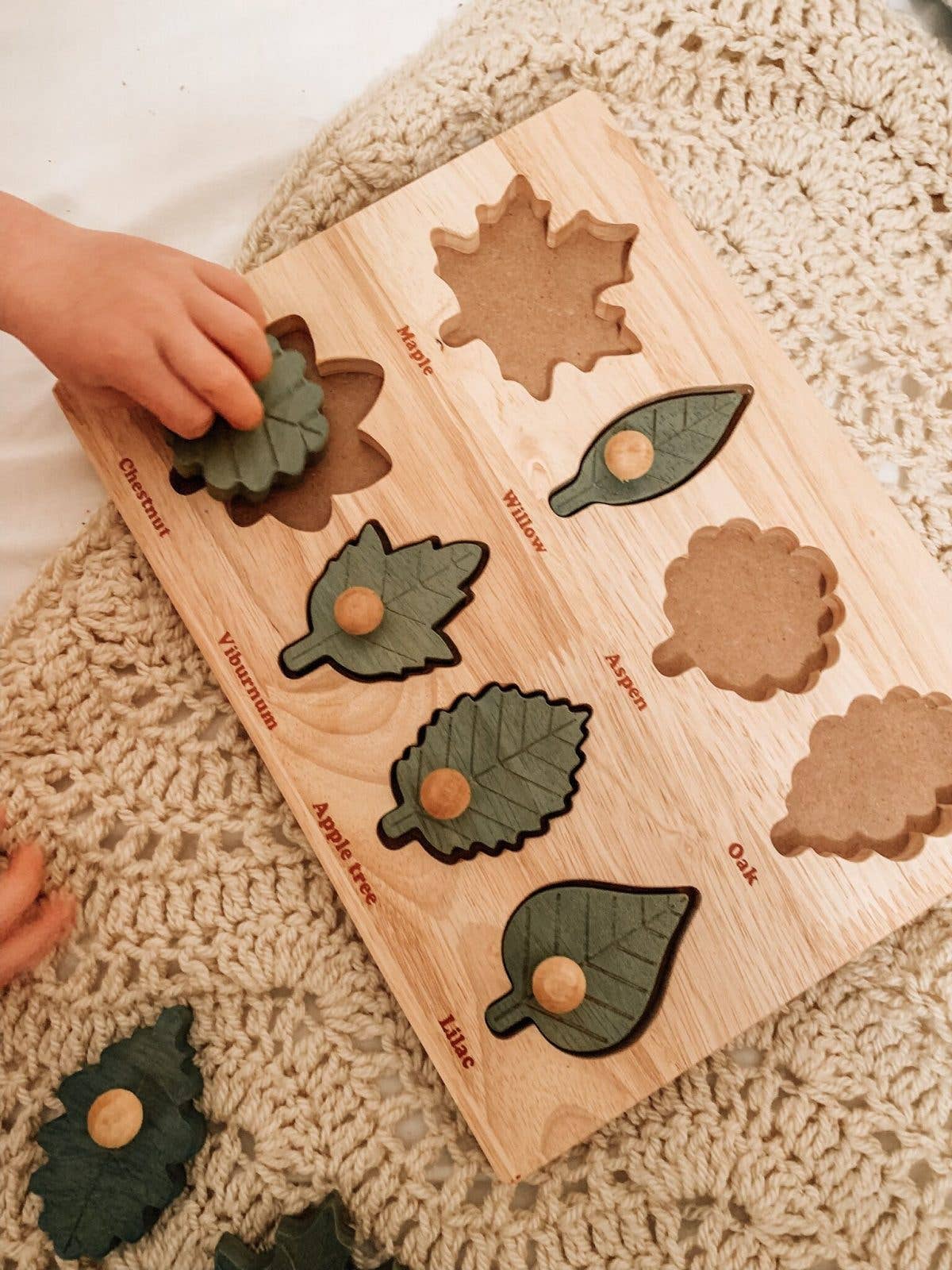 Montessori Leaf Puzzle