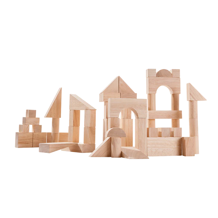 50 Unit Wooden Building Blocks Set