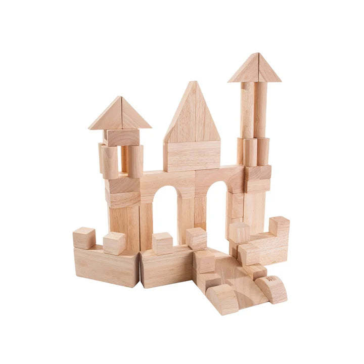 50 Unit Wooden Building Blocks Set