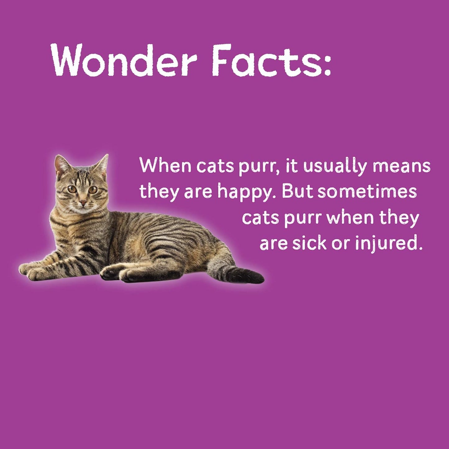 100 Curious Things to Count: Counting at the Smithsonian by Scarlett Wing