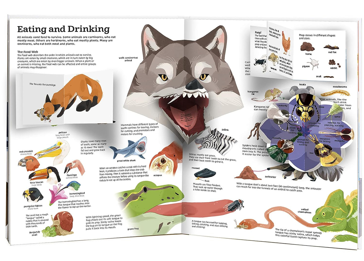 The Ultimate Book of Animals