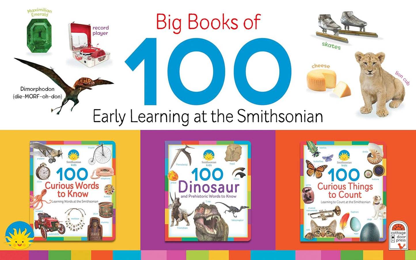 100 Curious Things to Count: Counting at the Smithsonian by Scarlett Wing