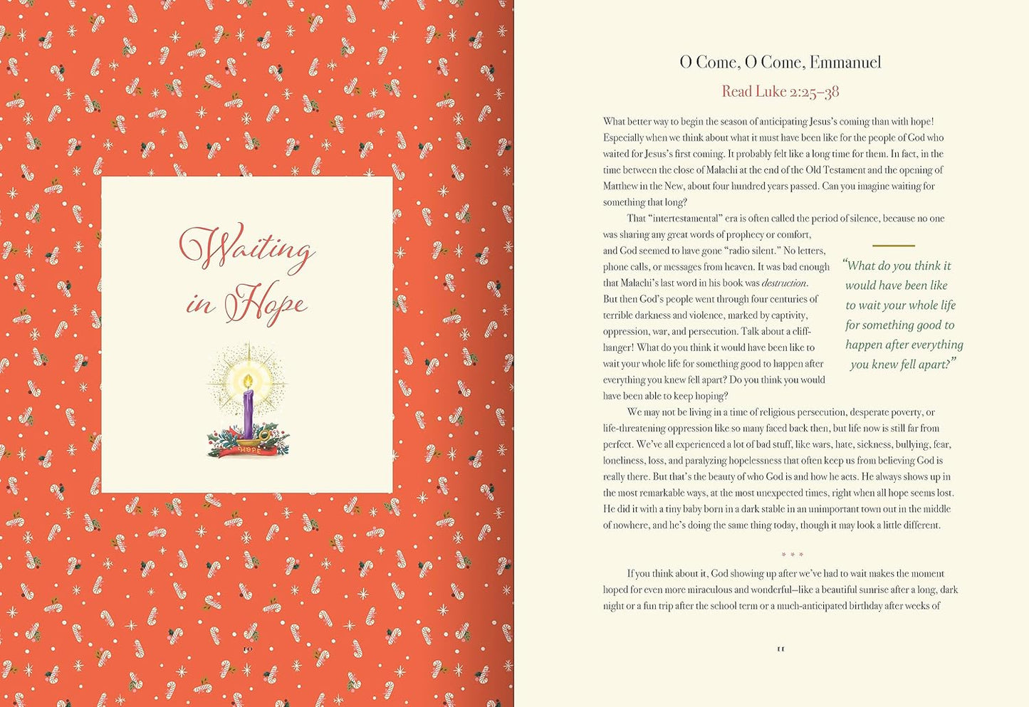 Tis the Season Family Advent Activity Book: Devotions, Recipes, and Memories of the Christmas Season