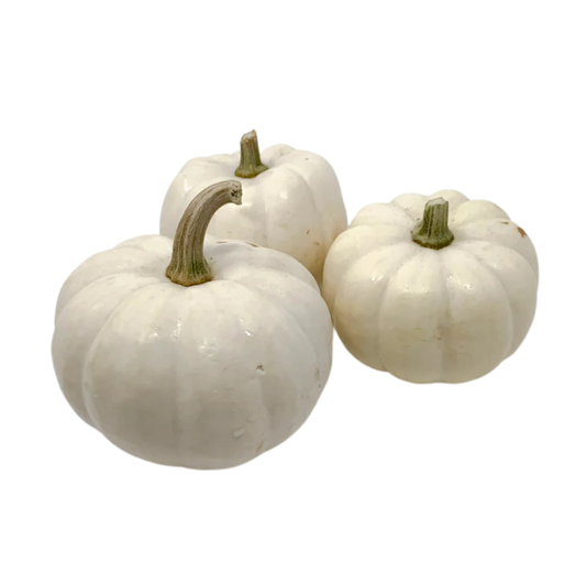 Mini White Pumpkin Kitchen Toy