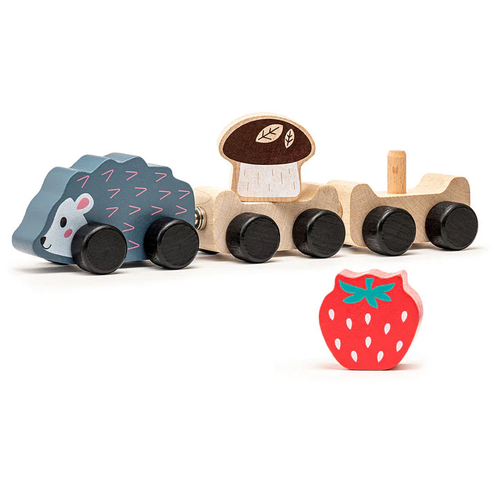 Cubika Wooden Toy- Clever Hedgehog