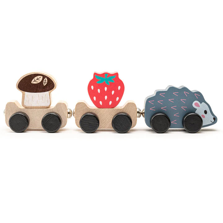 Cubika Wooden Toy- Clever Hedgehog