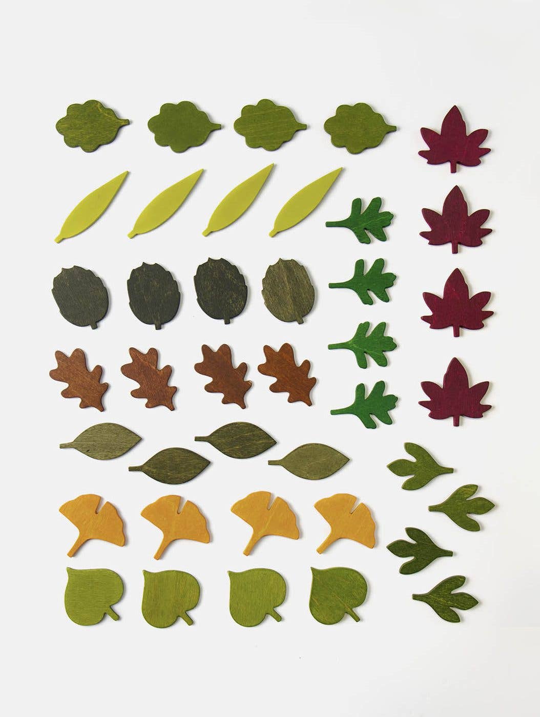 Woodland Leaves