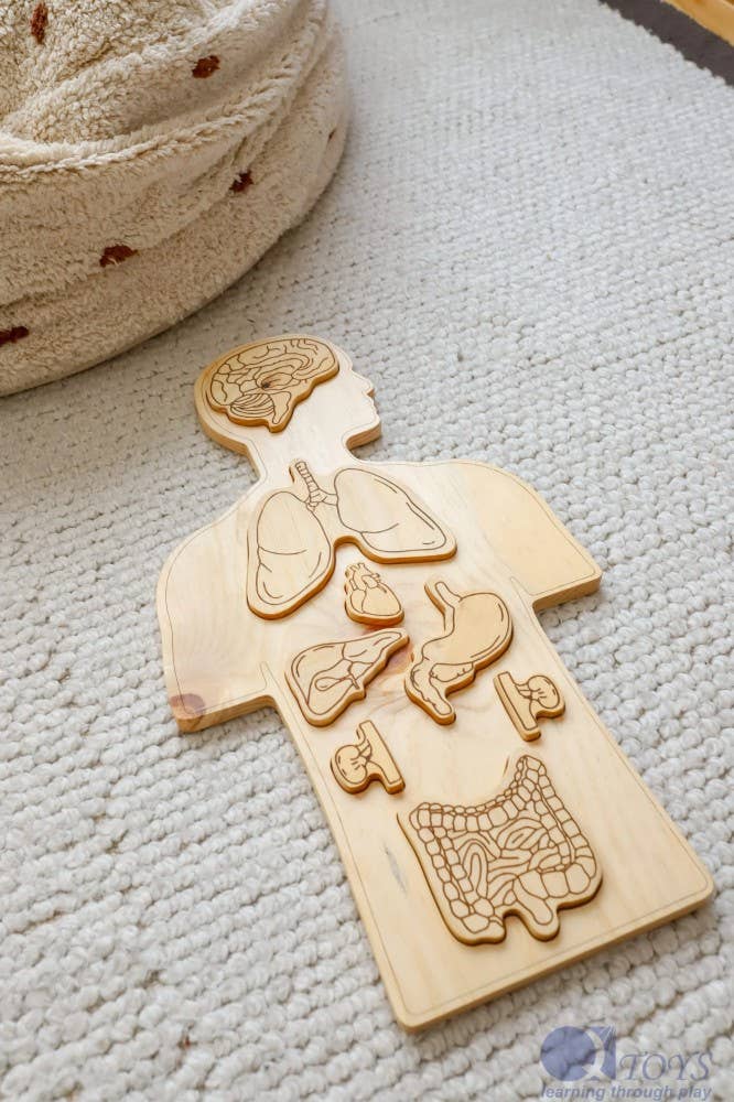 Wooden Anatomy Puzzle