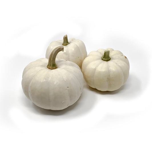 Mini White Pumpkin Kitchen Toy